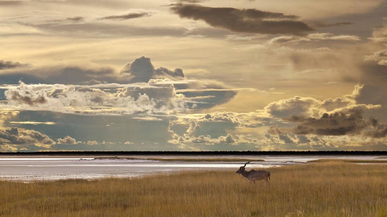 ins怎么改绑定手机号_ins怎么更换绑定手机号 - INS相关 - 55dz账号网