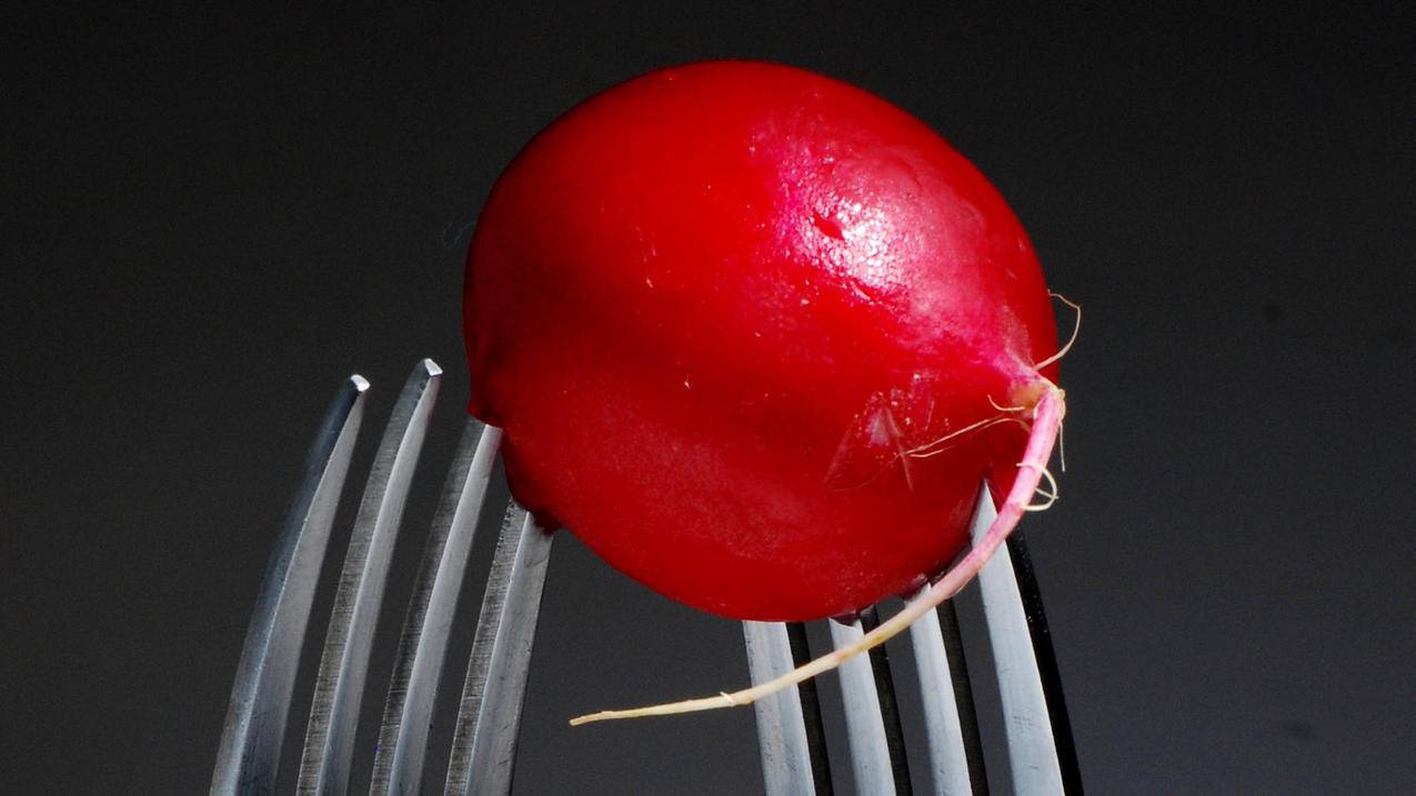 越南苹果id没办法退出登录 - 各区苹果ID - 55dz账号网