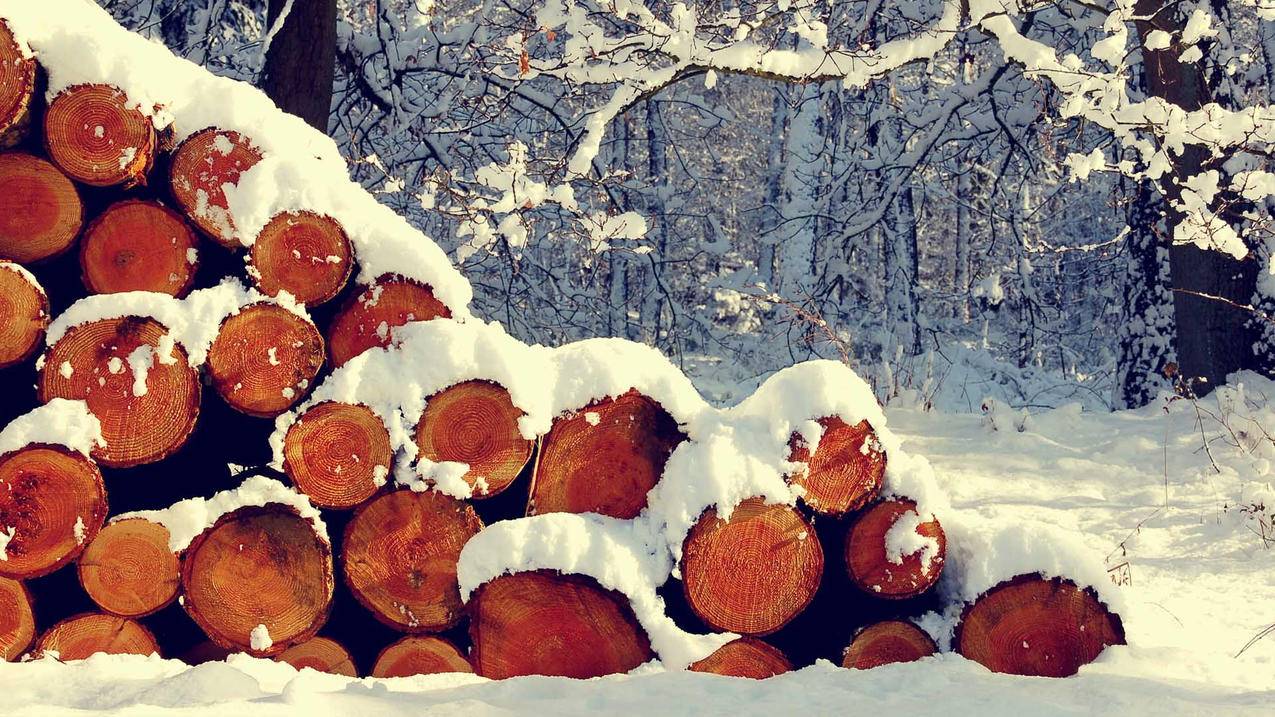 在线刷快手真人粉丝 - 快手业务的网站,快手一秒刷频