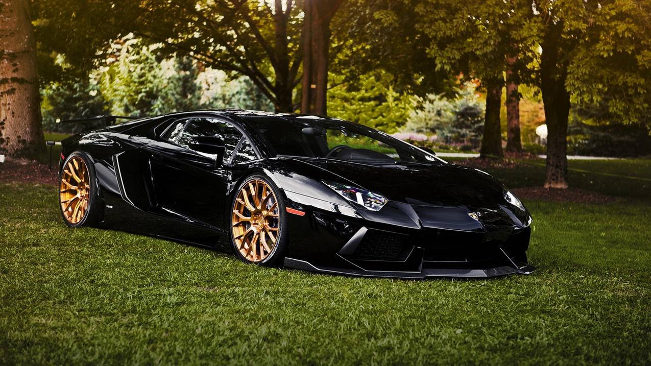 结点和节点_结点和节点区别 - 注册外服方法 - 55dz账号网