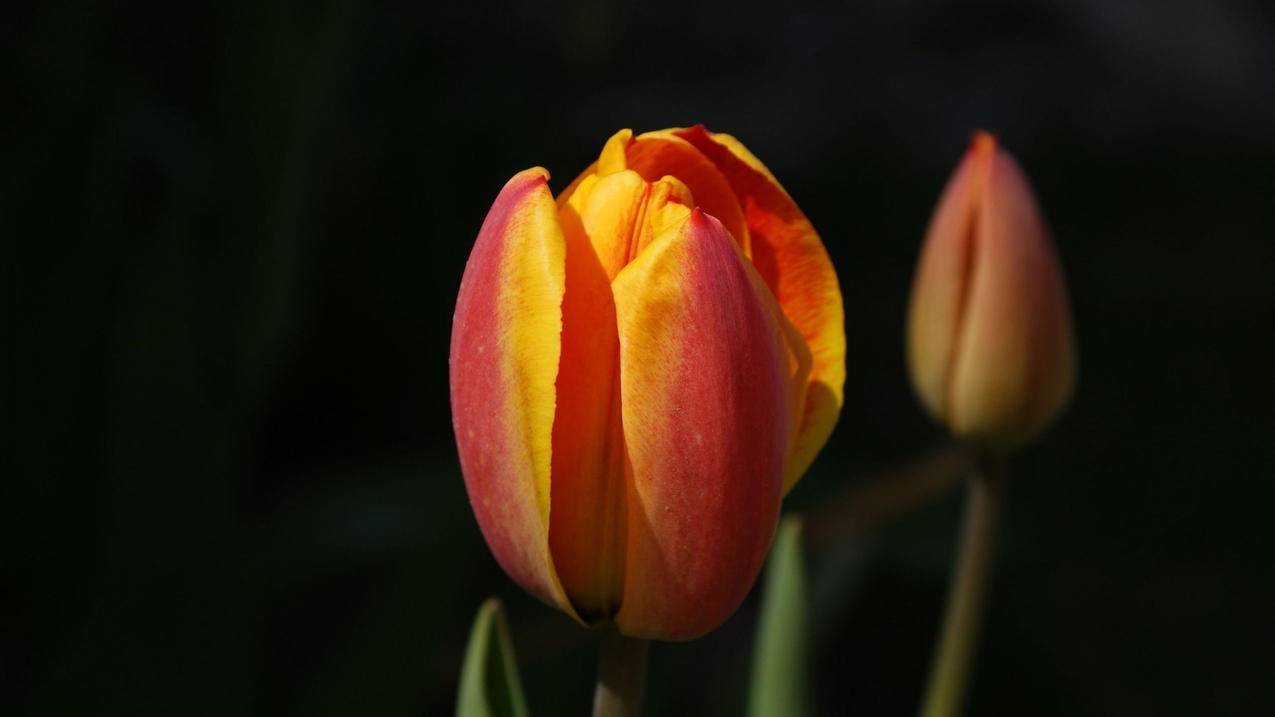 台湾的appleid怎么注册_如何注册台湾的apple id - 台湾苹果ID - 55dz账号网