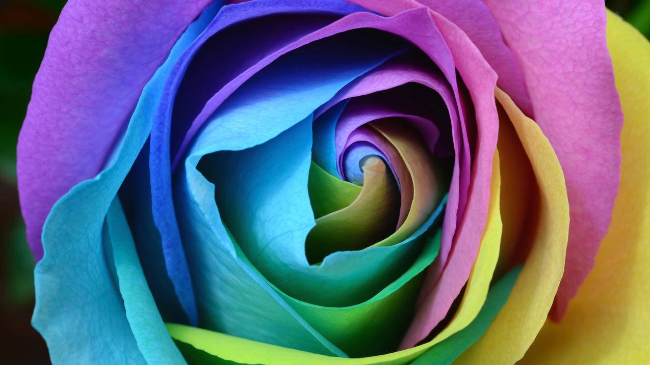 clashforwindows代理地址_clash for windows局域网代理 - clash相关 - 55dz账号网