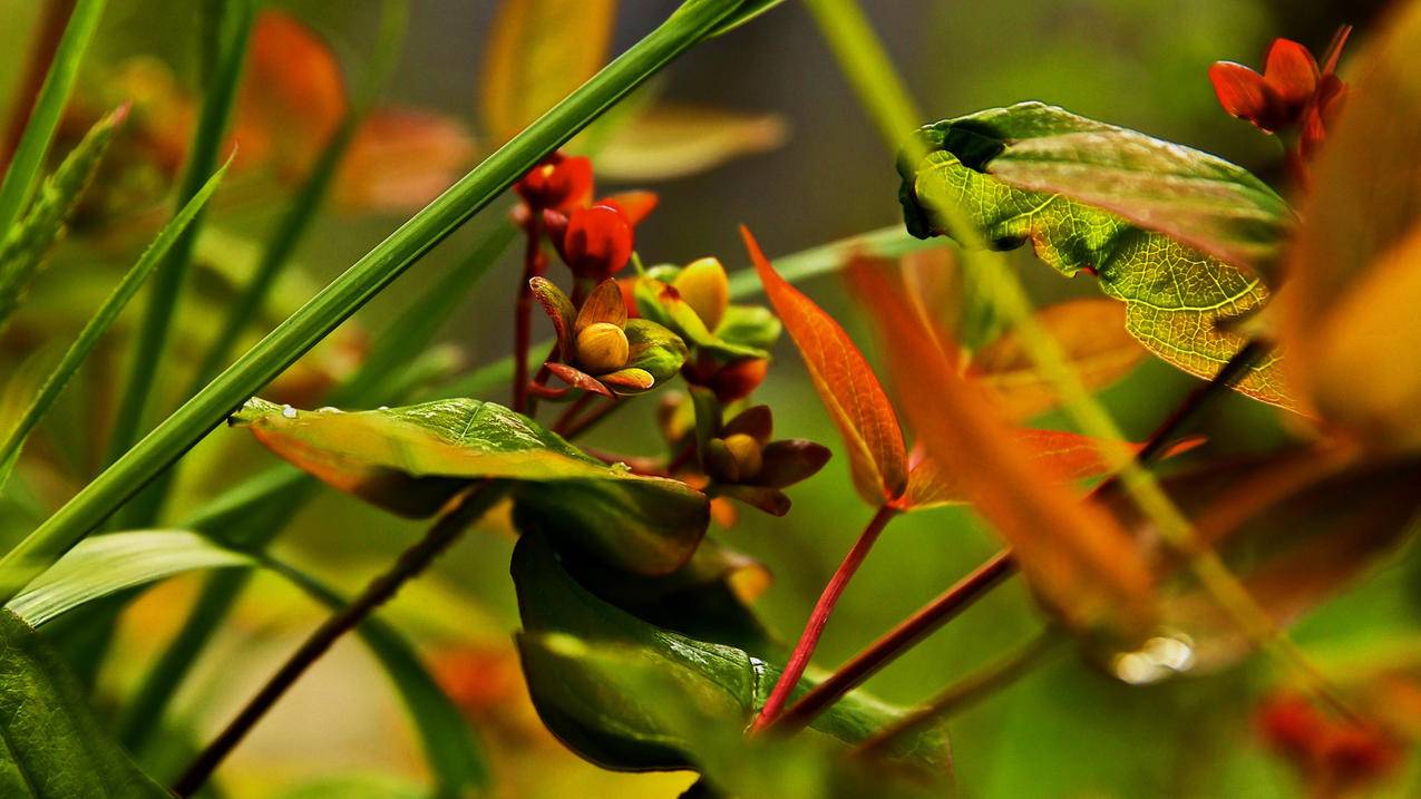 clash怎么用vmess_clash怎么用,clash配置教程来了 - clash相关 - 55dz账号网