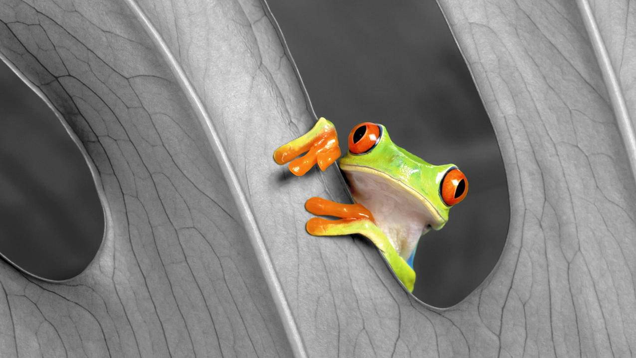 油管不小心看了政治视频_油管有的视频不让看 - youtube相关 - 55dz账号网