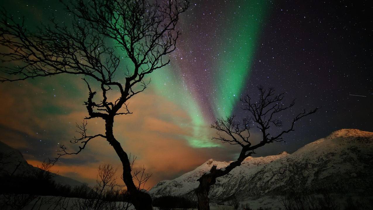 小学数学学生评语怎么写？家长必看指南 - 小学教育 - ks24小时自助