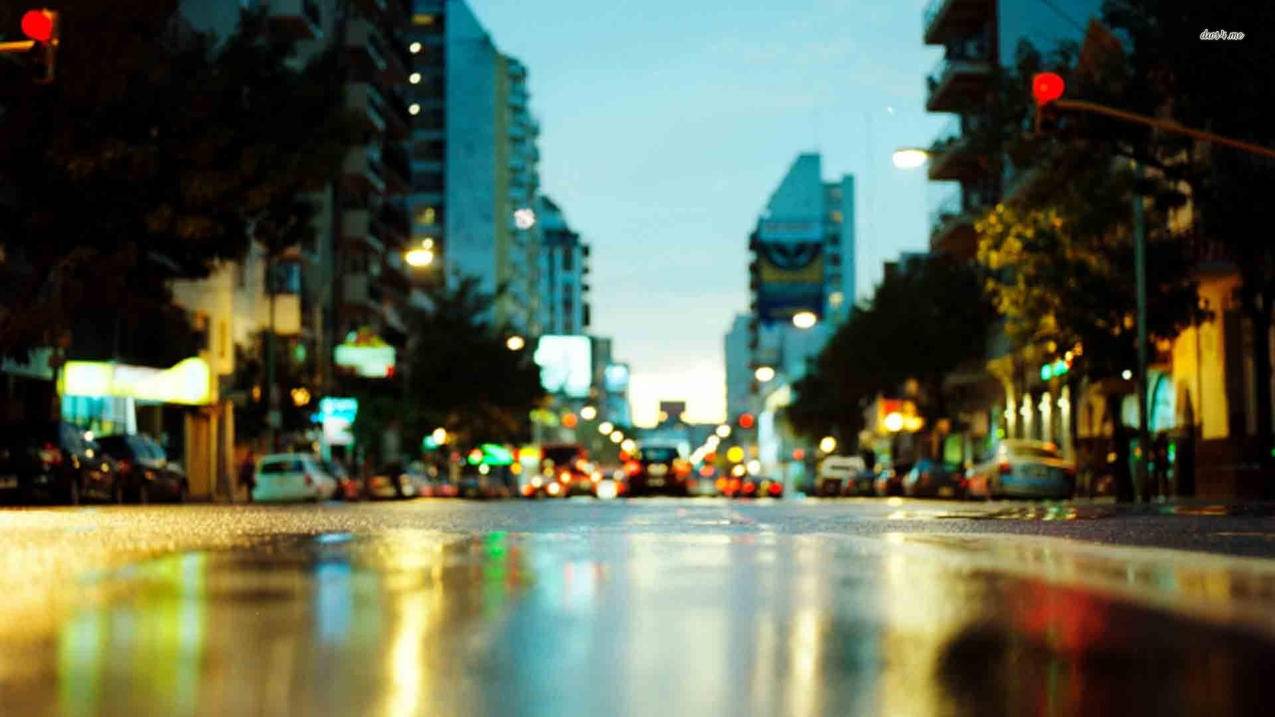 L三年级zoom中文名叫什么_三年级英语zoom的中文名 - zoom相关 - 55dz账号网