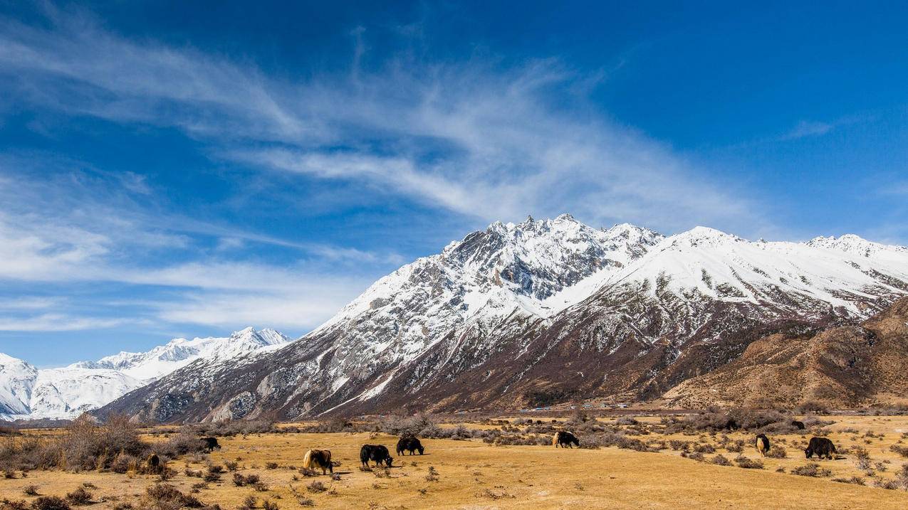 微博刷点赞评论群 - 新浪微博刷转发点赞软件是什么,qq说说互赞软件