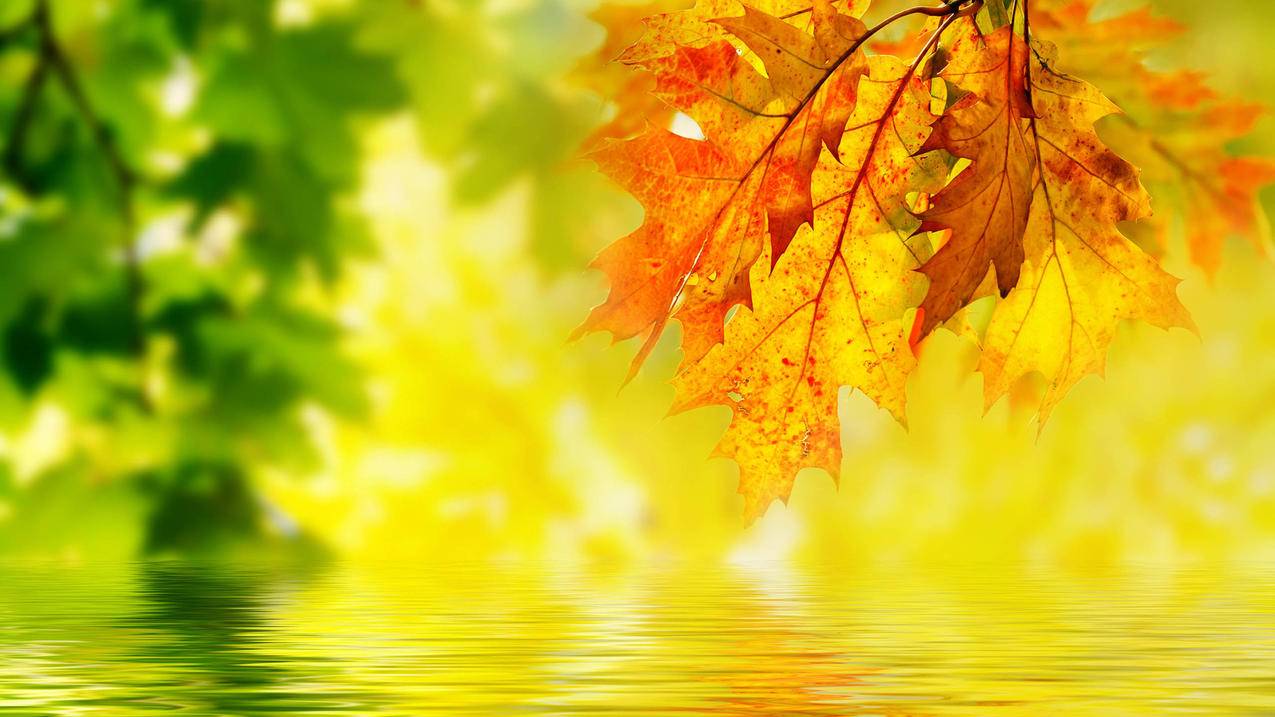 快手刷1元50赞 - 超低价快手粉丝代刷,qq刷赞一百万便宜_帮售乐卡盟官网