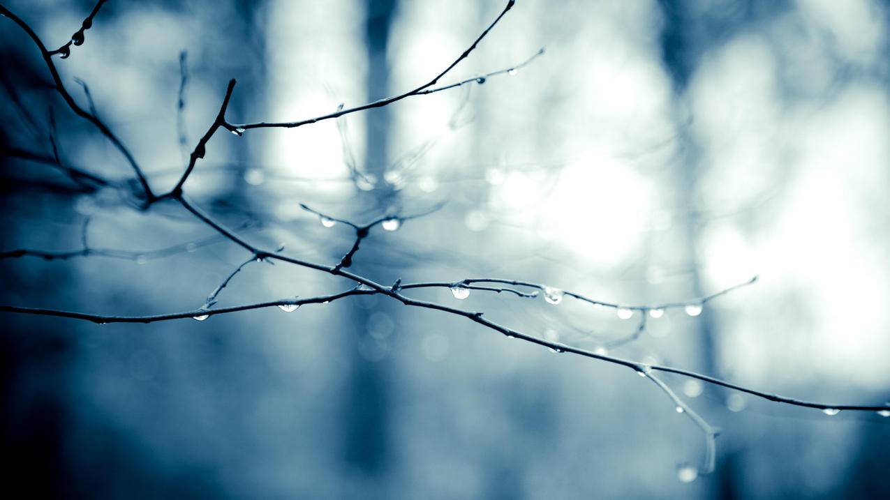 韩国appleid密码忘了怎么退出登录_忘记密码怎么退出appleid - 韩国苹果id - 55dz账号网