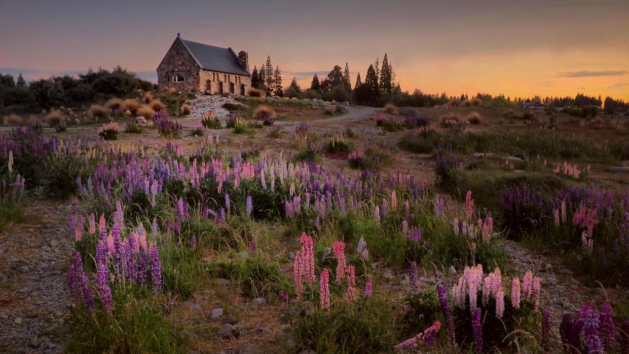 关于日本苹果id灰色退出不了信任列表不可用的信息 - 日本苹果ID - 55dz账号网