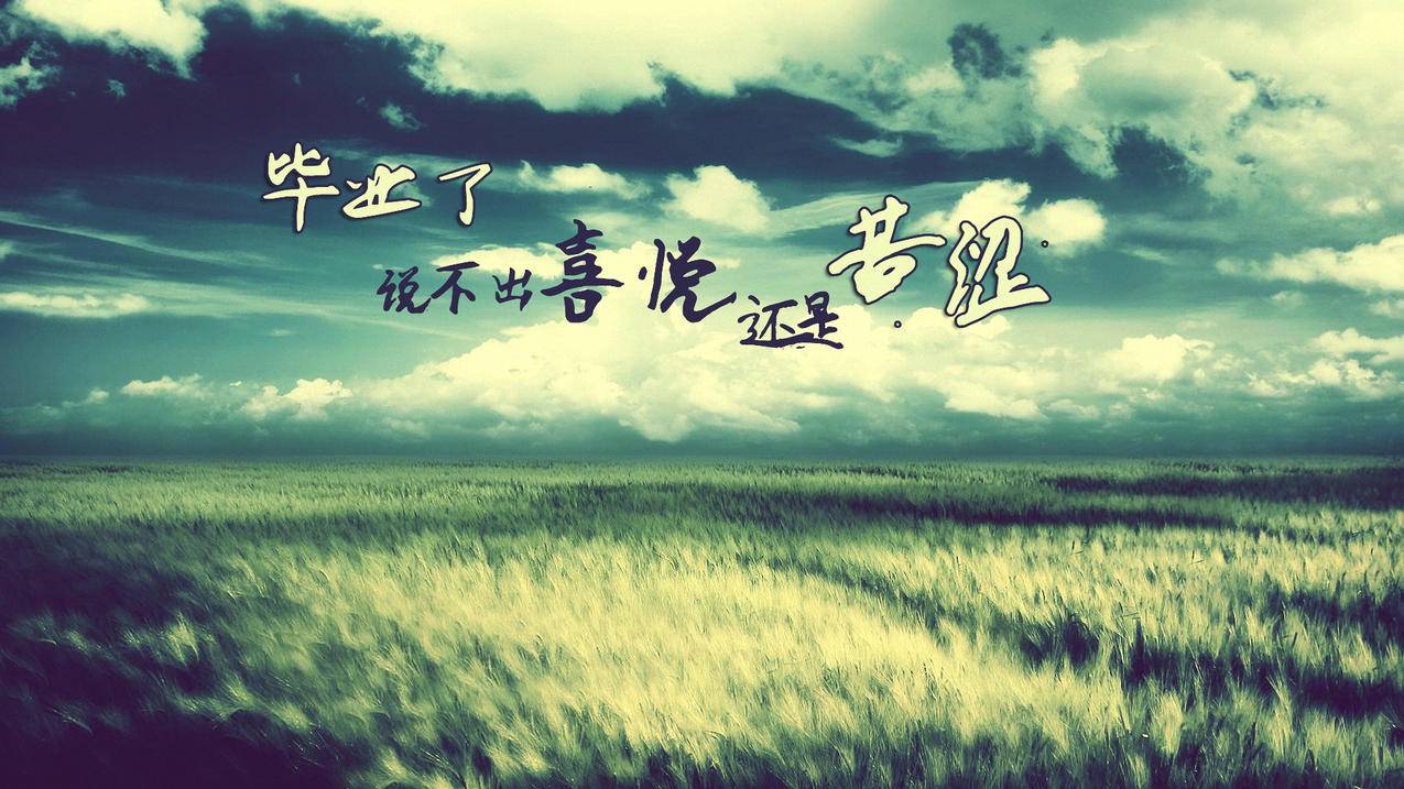 快手自助平台真人低价下单业务可靠吗？-dy业务网