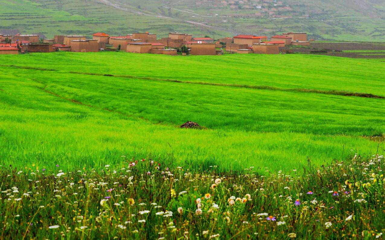 clash下载ios手机在线_clashr下载ios - clash相关 - 55dz账号网