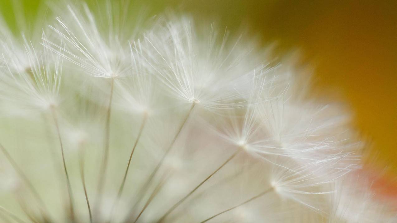 facebook图片怎么保存_facebook照片保存 - facebook相关 - 55dz账号网