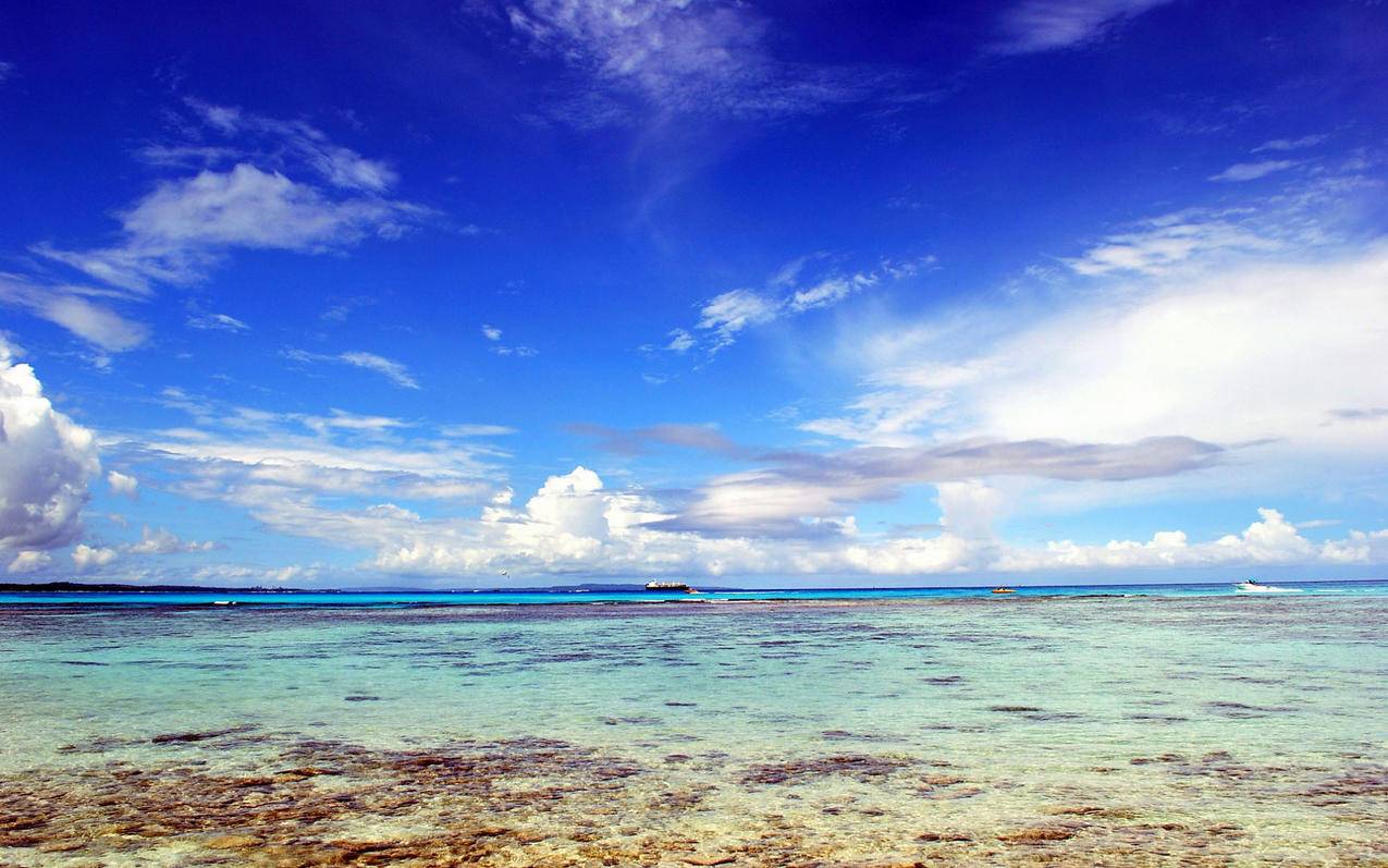 渠道号如何绑定千川？ - 低价业务 - dy业务网