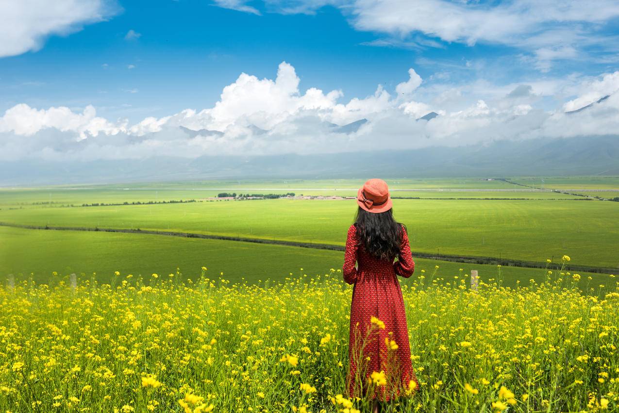 谷歌商店找不到tiktok_谷歌商店找不到facebook - tiktok相关 - 55dz账号网