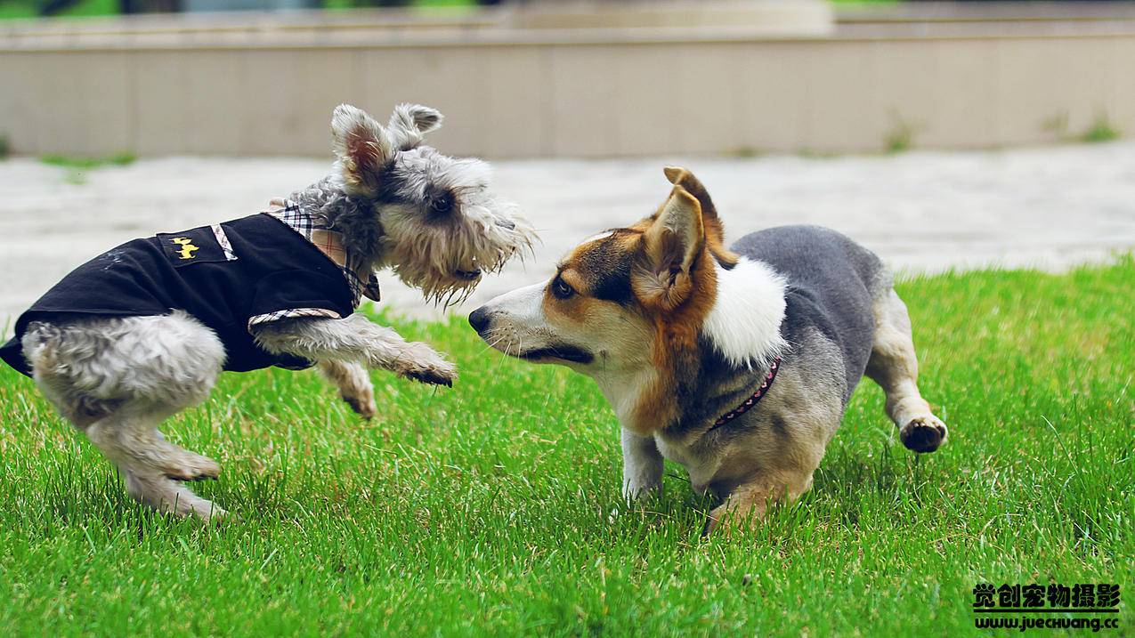 干衣机风扇脱叶怎么修理？ - ks自助平台 - ks业务下单