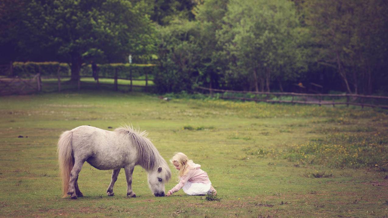 Area怎么读?_example怎么读 - messenger相关 - 55dz账号网