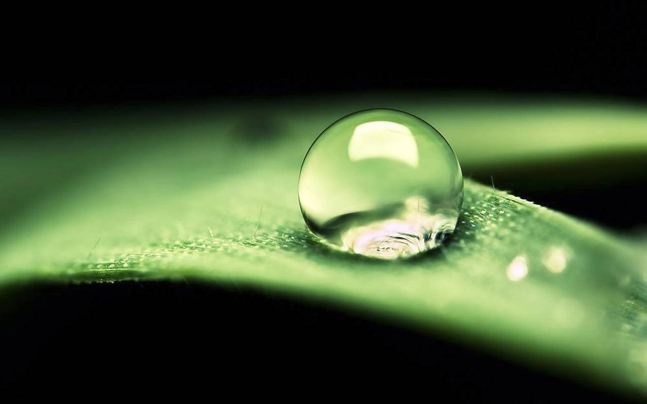 光遇国际服官网下载最新版本_光遇国际服官网下载安卓 - gmail相关 - 55dz账号网