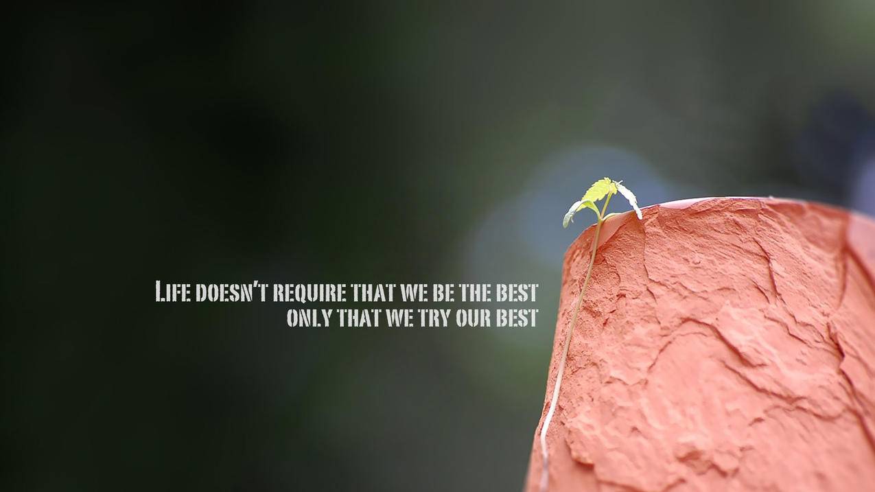 skype注册新账户手机_怎样注册skype新用户 - skype相关 - 55dz账号网