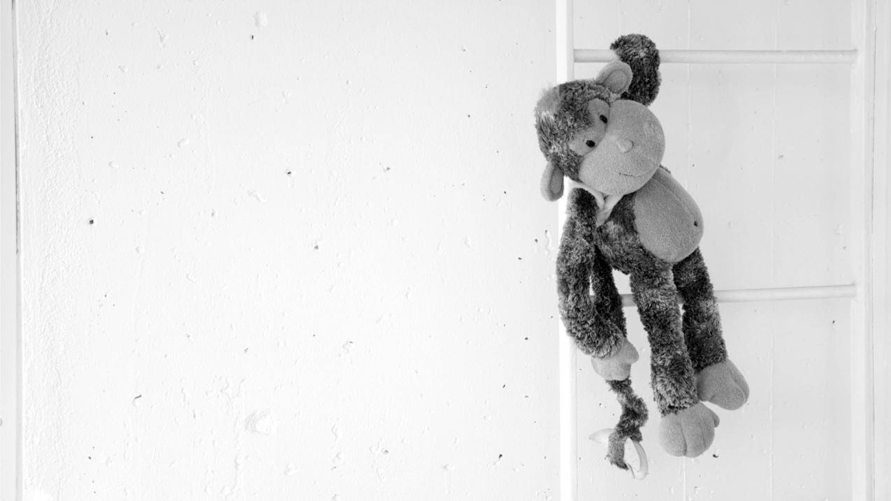 推特怎么搜索用户?  ( 推特历史记录在哪 ) - 55dz账号网