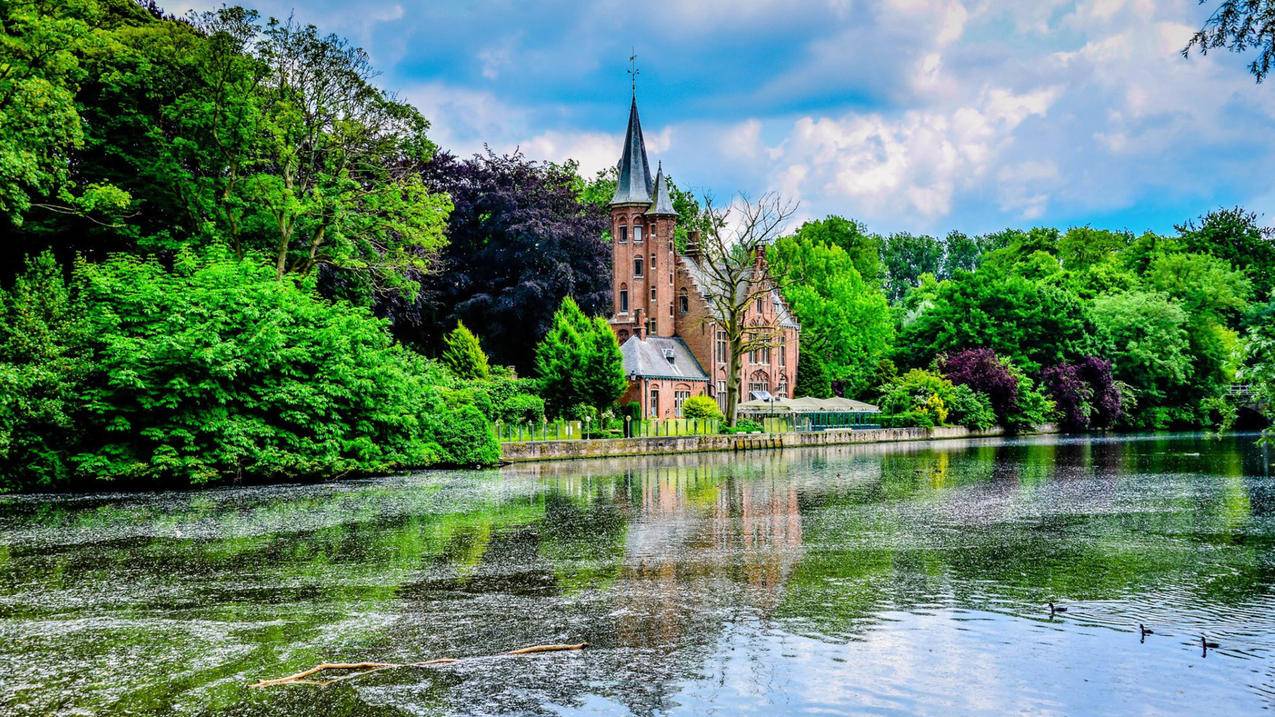 youtube替代软件安卓_安卓可以用youtube - youtube相关 - 55dz账号网