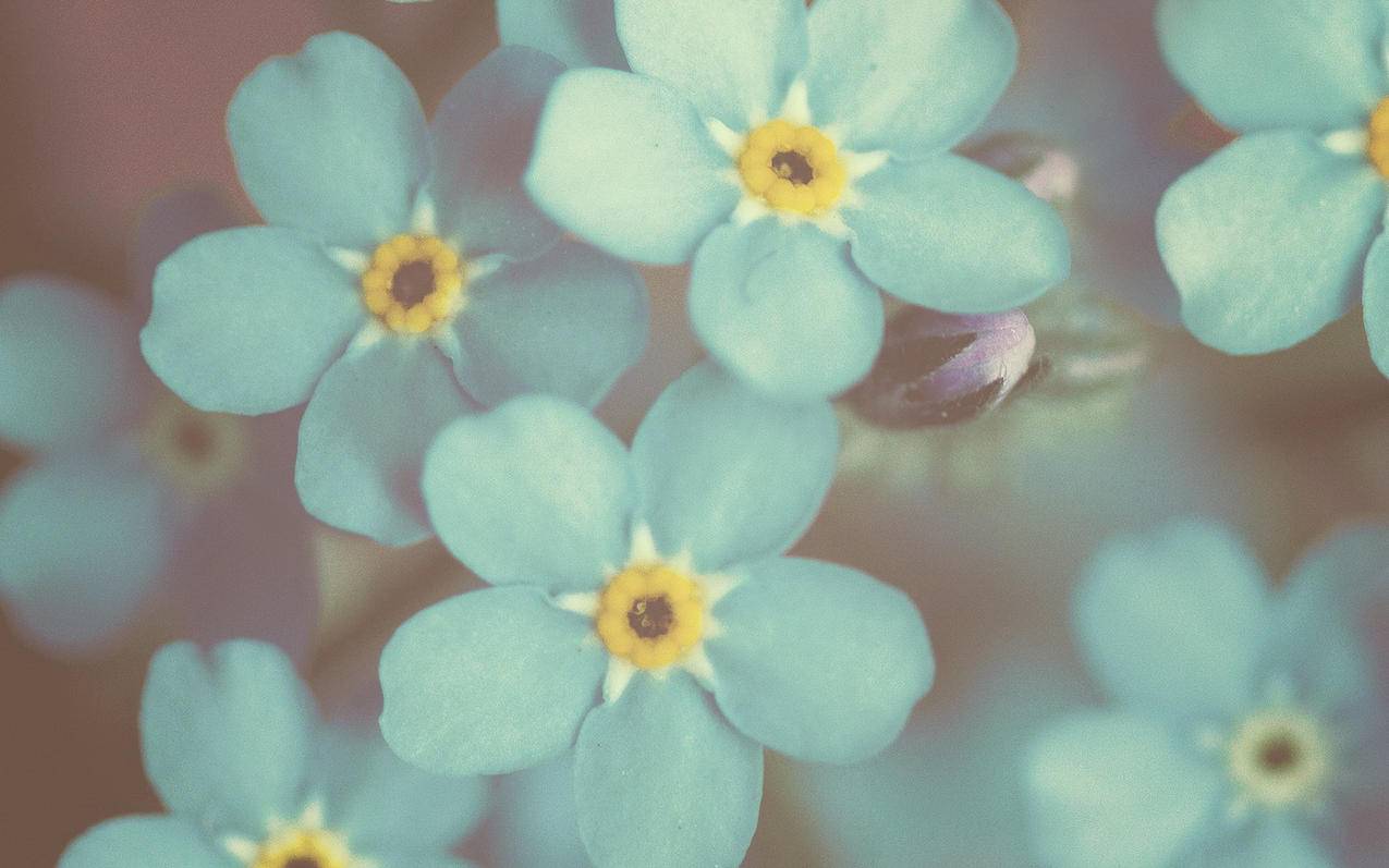 facebook公共主页怎么设置别的账号发帖权限_facebook公共主页受限 - facebook相关 - 55dz账号网