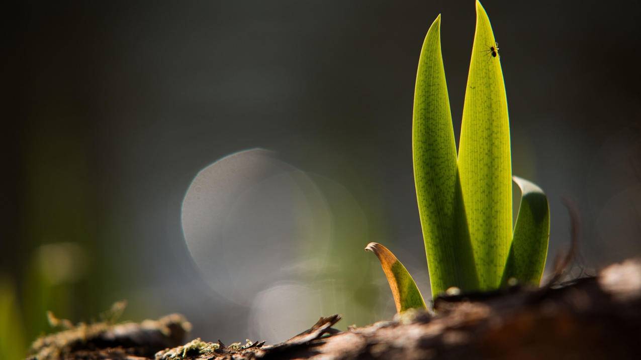 抖音1元刷1000赞 - 抖音刷粉丝网站,qq说说刷点赞6,我爱代刷网 - 全网最低自助下单平台