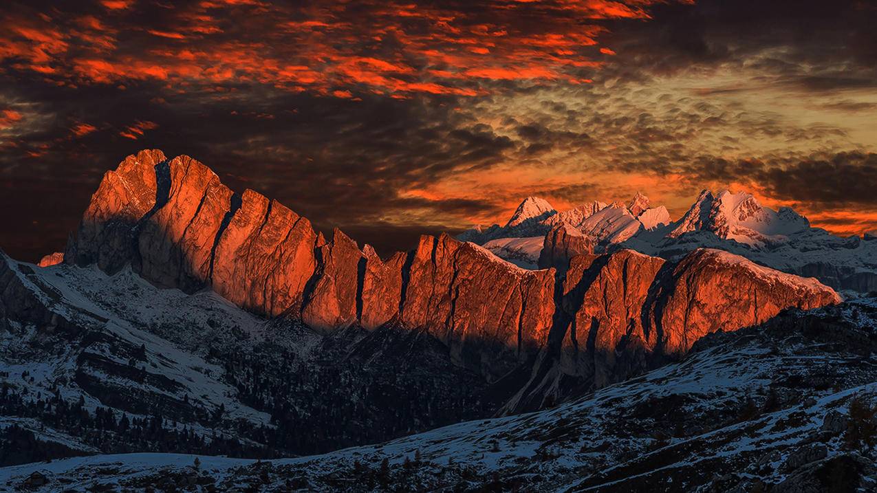 跨境电商注册公司要求是什么？怎么注册-苹果id平台