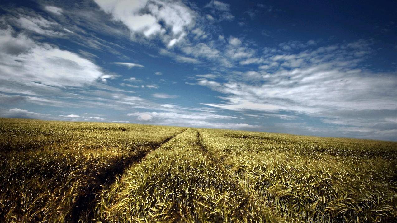 zip和zoom最后六年级图片_zip和zoom图片小学 - zoom相关 - 55dz账号网