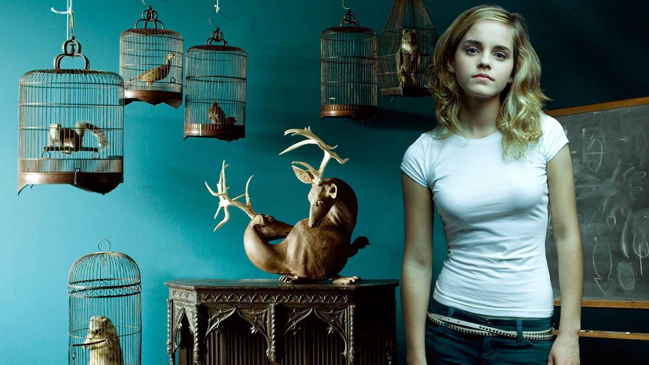 我最喜欢的运动员是谷爱凌英文翻译_我喜欢的运动员英语翻译 - skype相关 - 55dz账号网