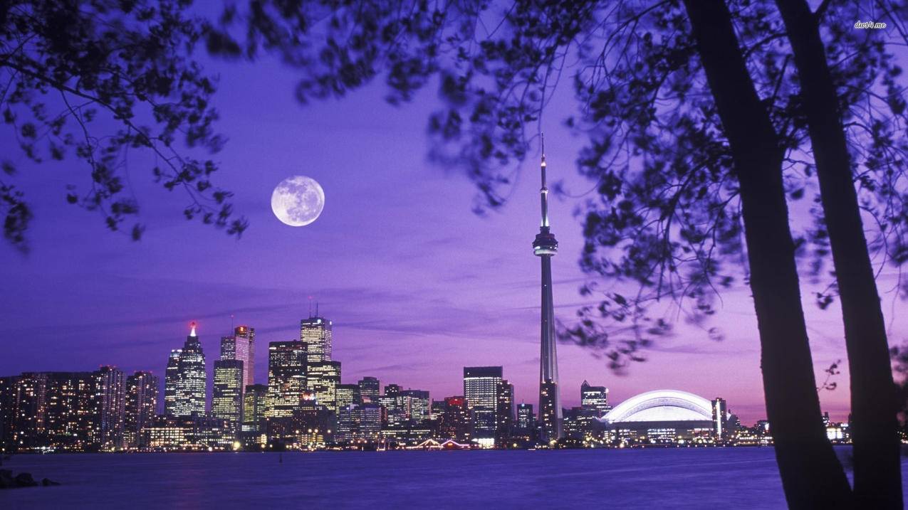 苹果香港appleid忘记了怎么找回_忘记Apple ID怎么找回 - 香港苹果ID - 55dz账号网