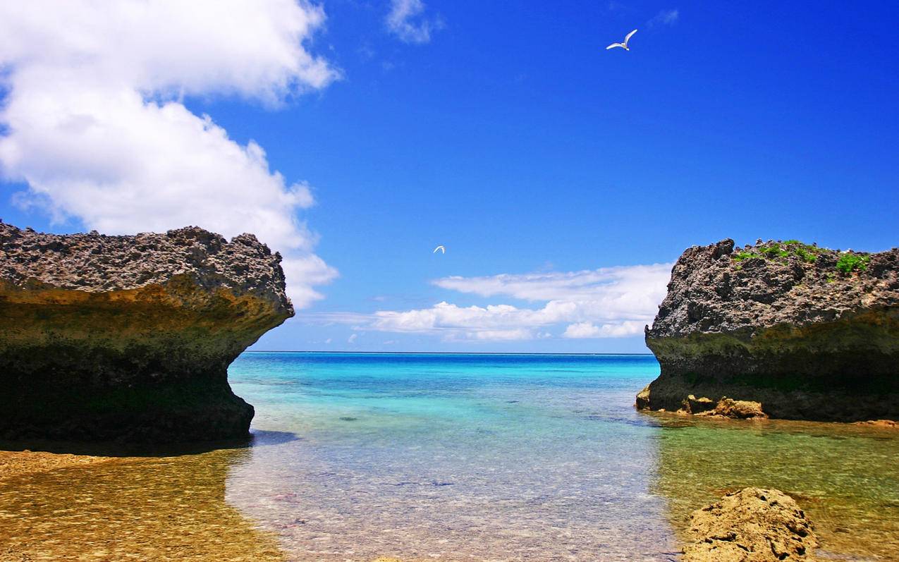 晨曦云秒赞网 - qq刷空间说说浏览量网站,刷网站浏览量的网站,刷空间访客