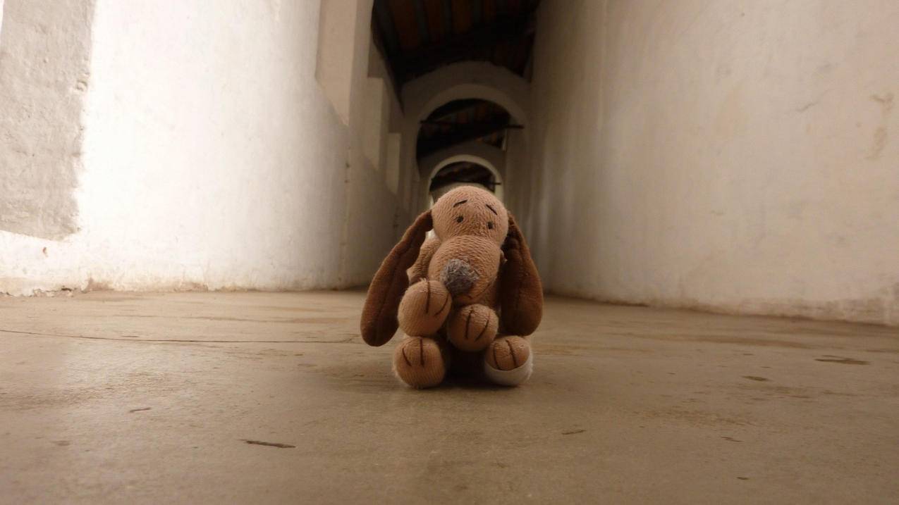 qq业务网站平台免费 - 慧俊QQ代刷_花椒直播免费刷人气