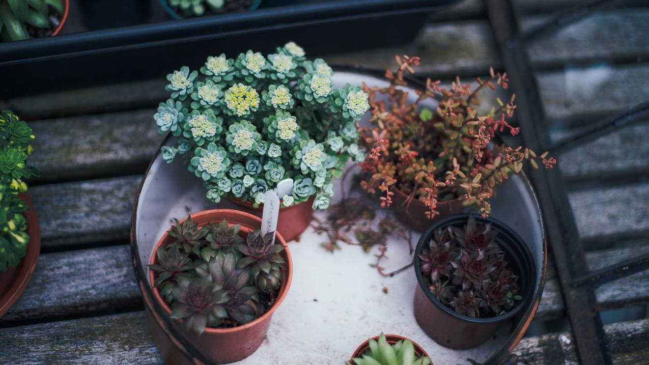 clash是什么意思翻译_clash是什么意思啊 - clash相关 - 55dz账号网