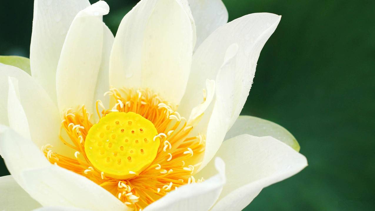 ipad密码忘记更换台湾appleid_ipad新改的密码忘了怎么办 - 台湾苹果ID - 55dz账号网