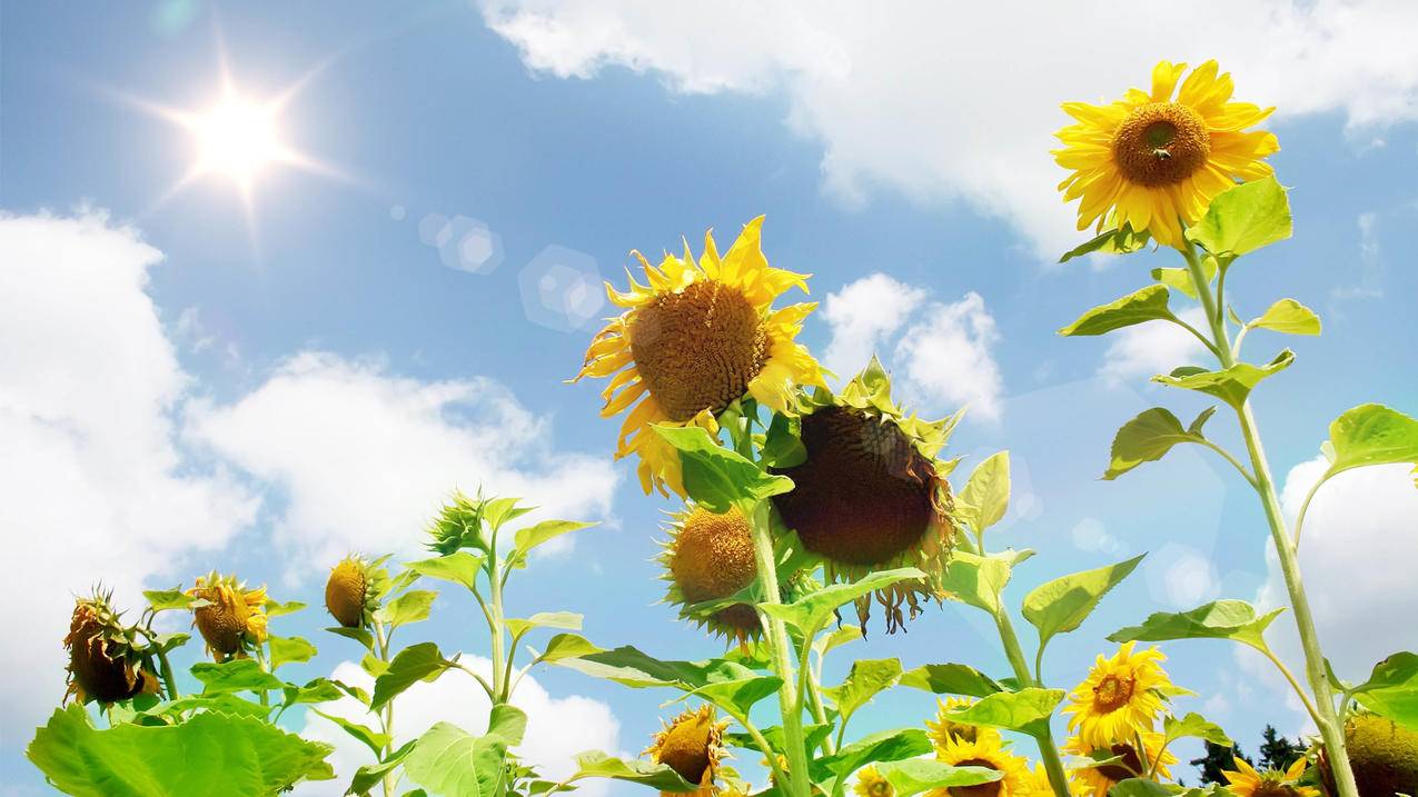 apple id的地区怎么填写?  ( 英国的postcode怎么填苹果id ) - 55dz账号网