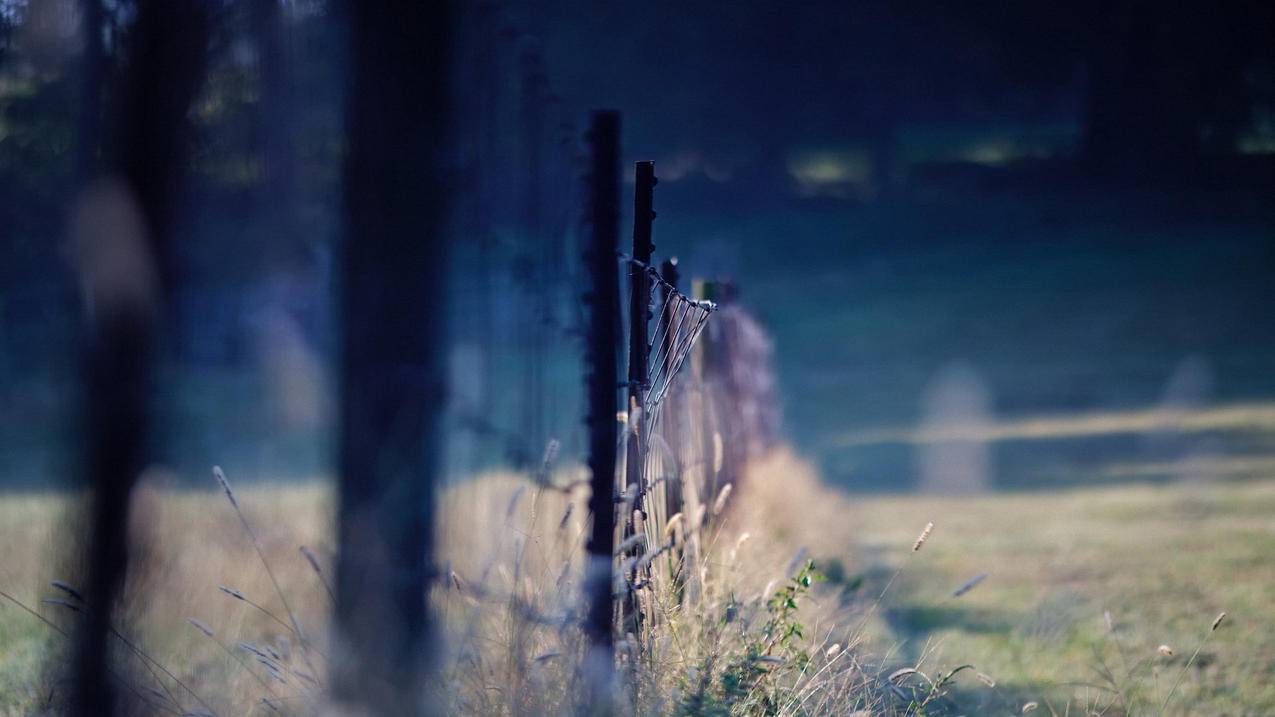 日服双生视界掀裙子视频_双生视界日服脱裙子 - 日本苹果ID - 55dz账号网