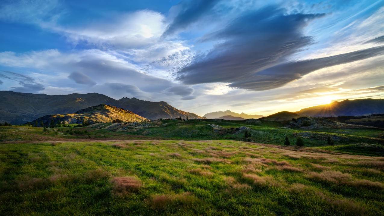 bring是什么意思中文翻译怎么读_Bring 是什么意思中文 - skype相关 - 55dz账号网