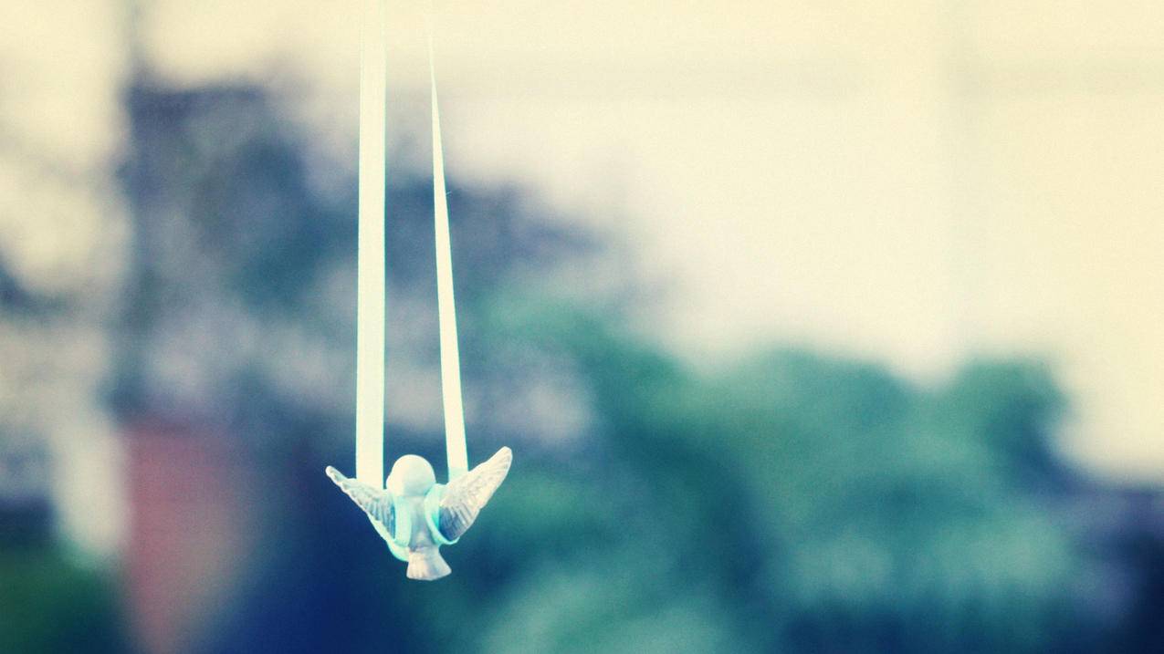 ts自瞄 - 南荷刷业务网站平台-qq刷赞免费老头