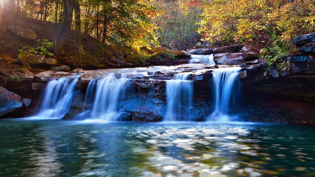 Apple ID的格式是什么? ， 苹果id格式是什么?  - 55dz账号网