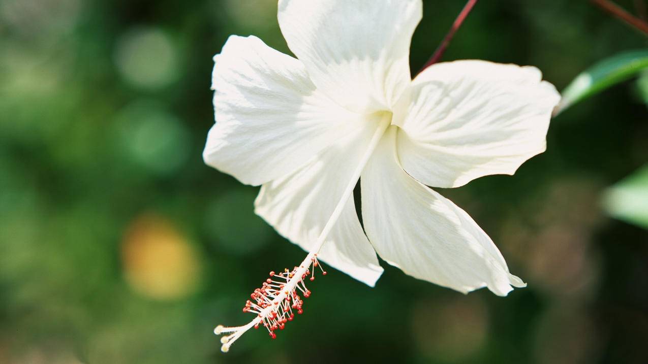 nba2kol2球员数据更新在哪里看_怎么看nba2kol2球员数据更新 - IOS分享 - 55dz账号网