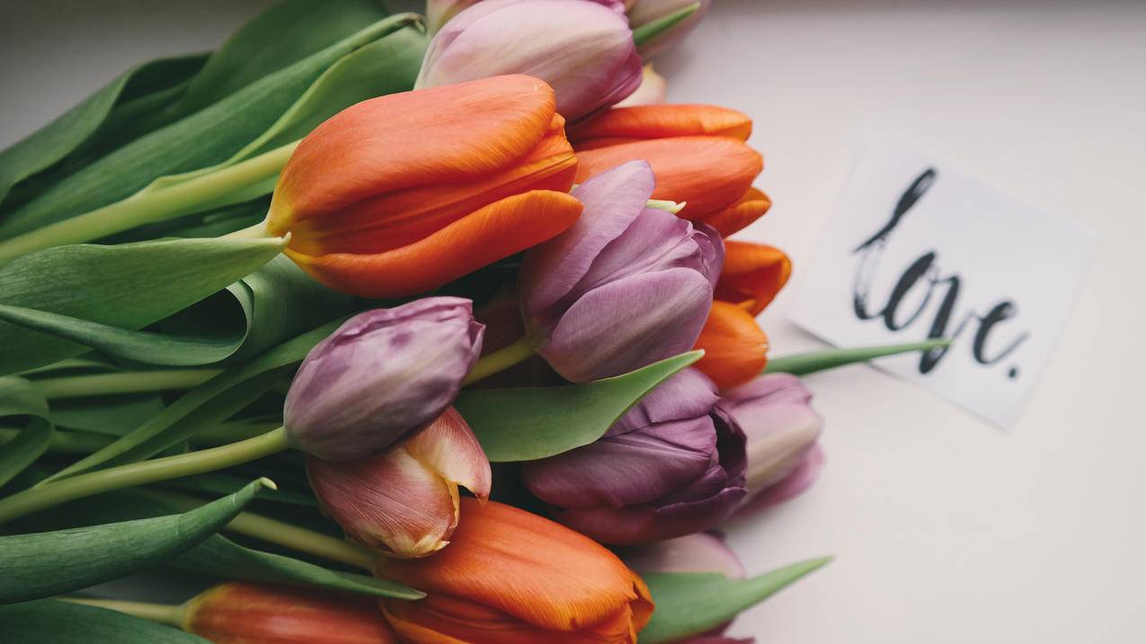 0.1元一万空间人气自动_快手充赞业务_快手1元1000粉丝购买卡盟 - 便宜刷qq点赞网址