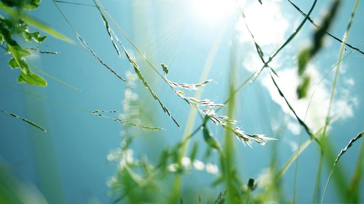 facebook怎么看自己的动态_facebook如何看别人动态 - facebook相关 - 55dz账号网