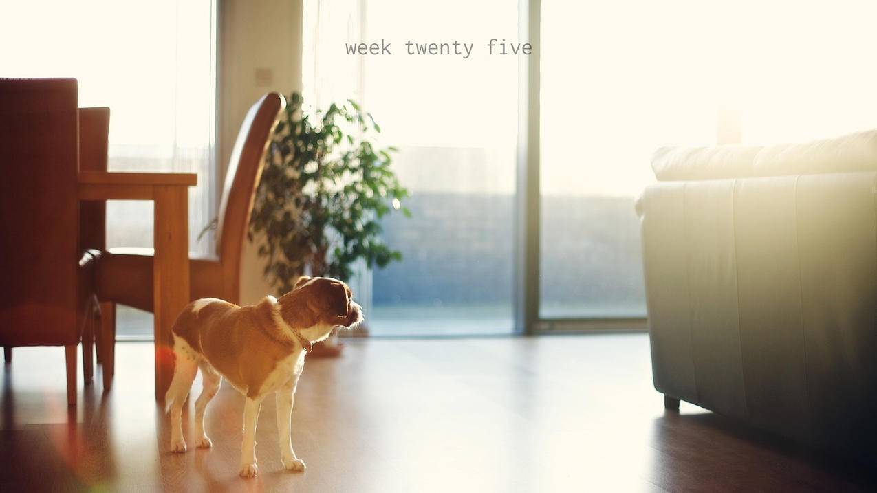 小米怎么安装谷歌框架。?  ( 红米note115g如何下载谷歌商店 ) - 55dz账号网