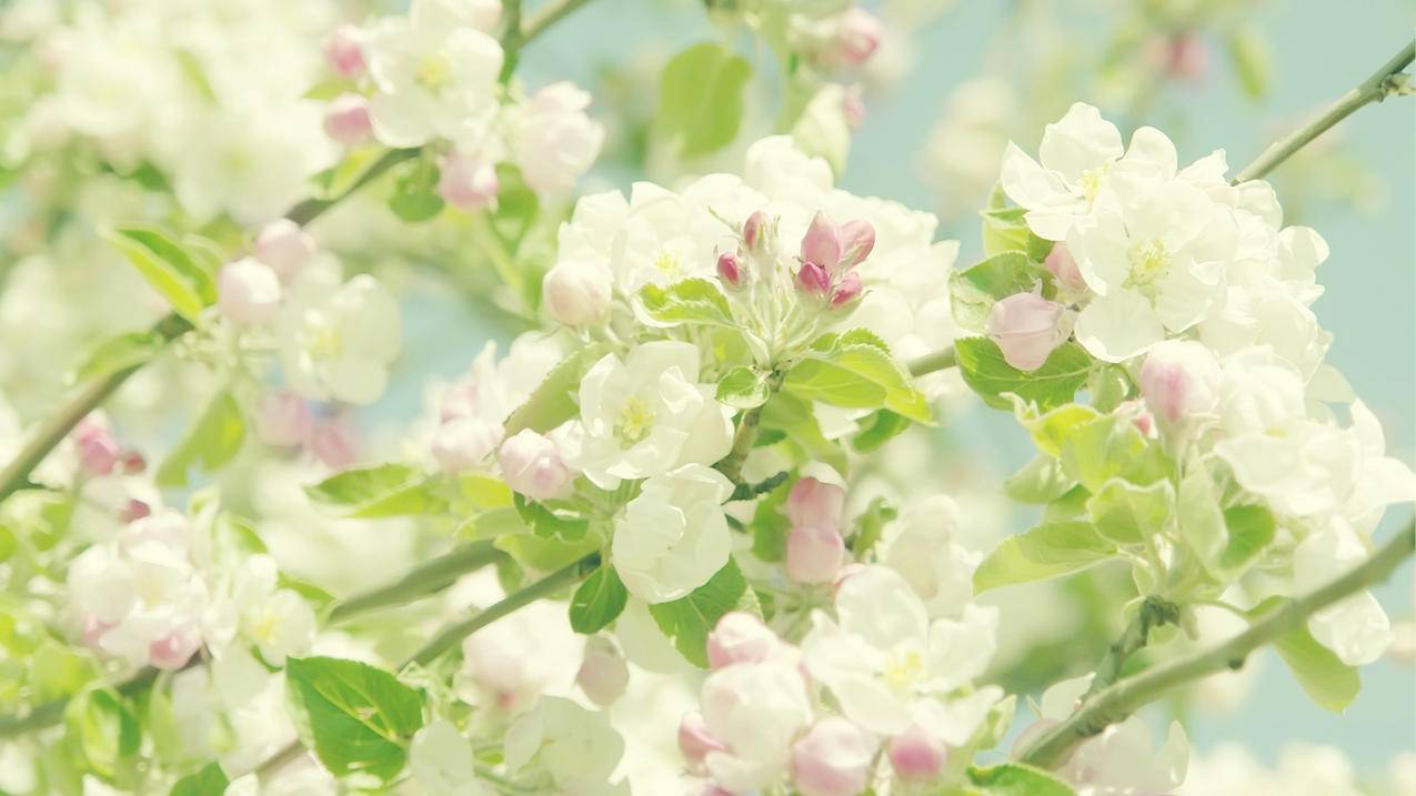 openclash无法更新_openclash 内核更新失败 - clash相关 - 55dz账号网