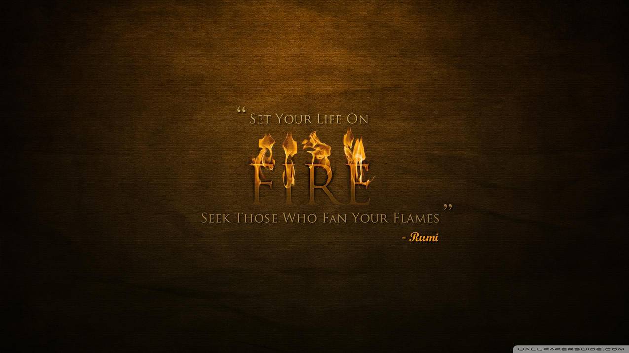 dy业务24小时自助下单平台,dy业务免费自助下单平台下载_dy低价业务