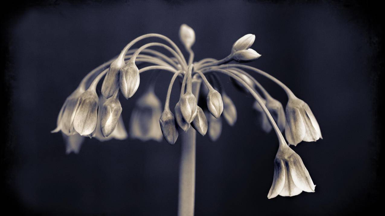 手机号电子邮箱免费注册电信_电信手机注册什么邮箱 - gmail相关 - 55dz账号网