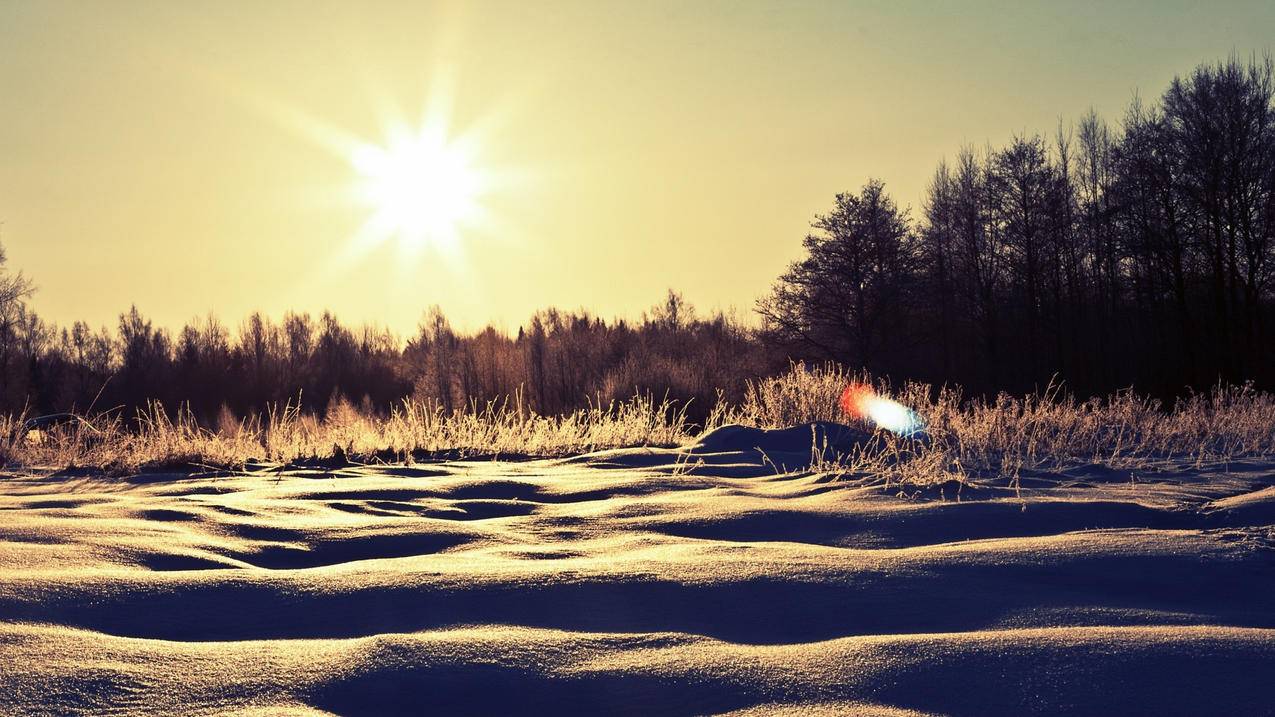 注册美国苹果id付款方式被拒绝_注册美国苹果id付款方式被拒绝怎么回事 - 各区苹果ID - 55dz账号网
