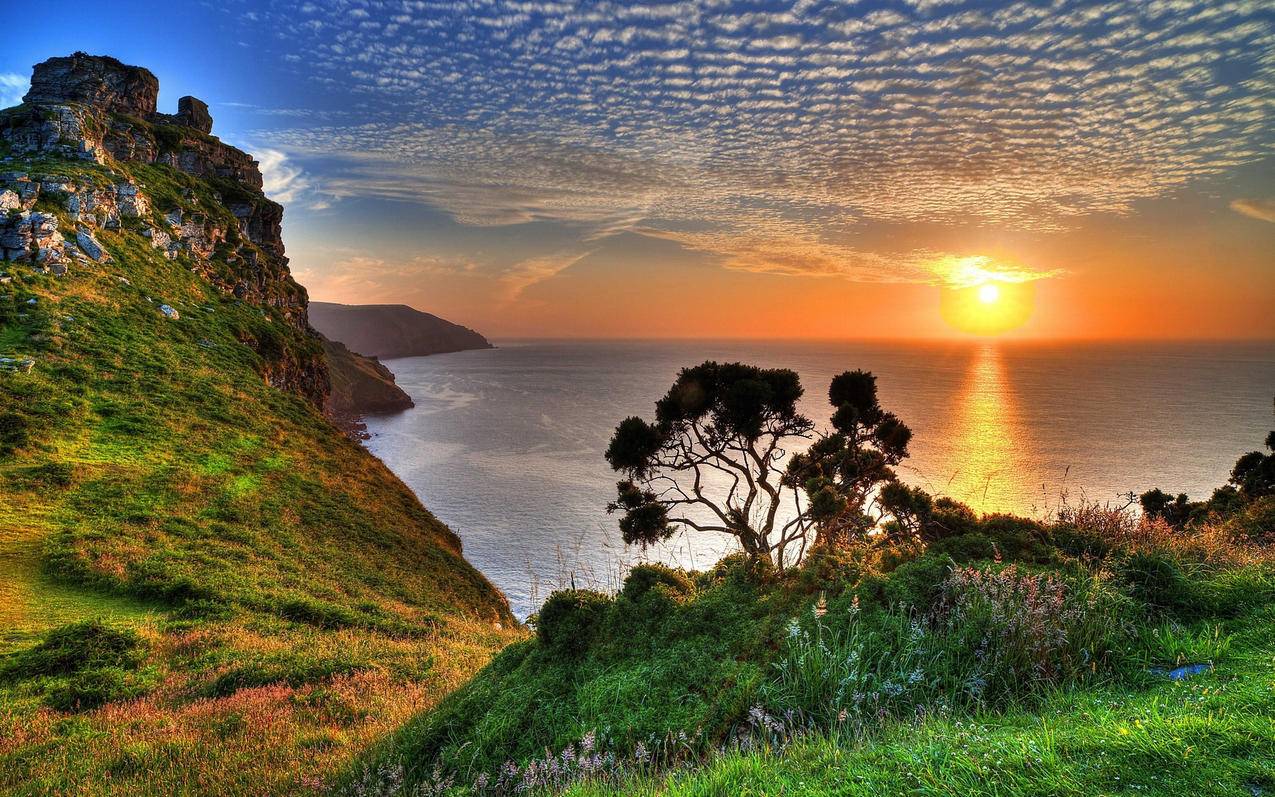 谷歌账号恢复通知收不到  ( 小米手机收不到谷歌登录通知 ) - 55dz账号网