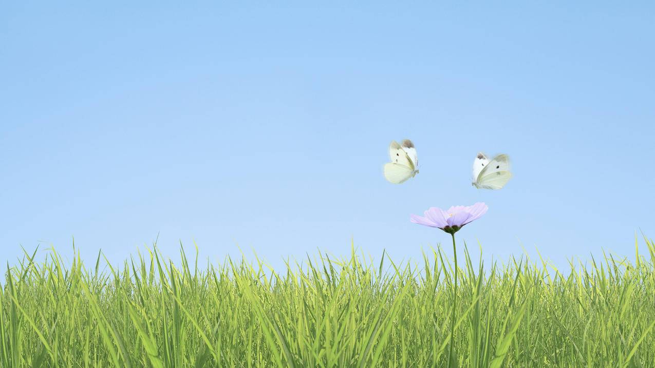 怎么修改越南appleid账号的手机号码（怎么修改越南appleid账号的手机号码） - 各区苹果ID - 55dz账号网